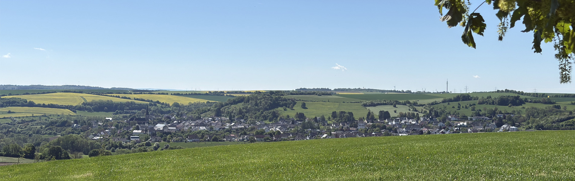 Landschaft Trierer-Land